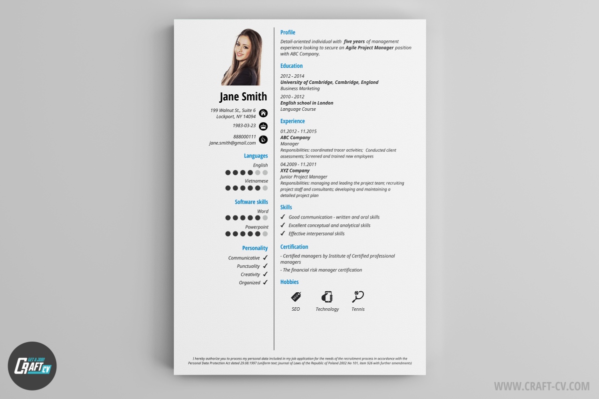 Professional CV Example Clariss 