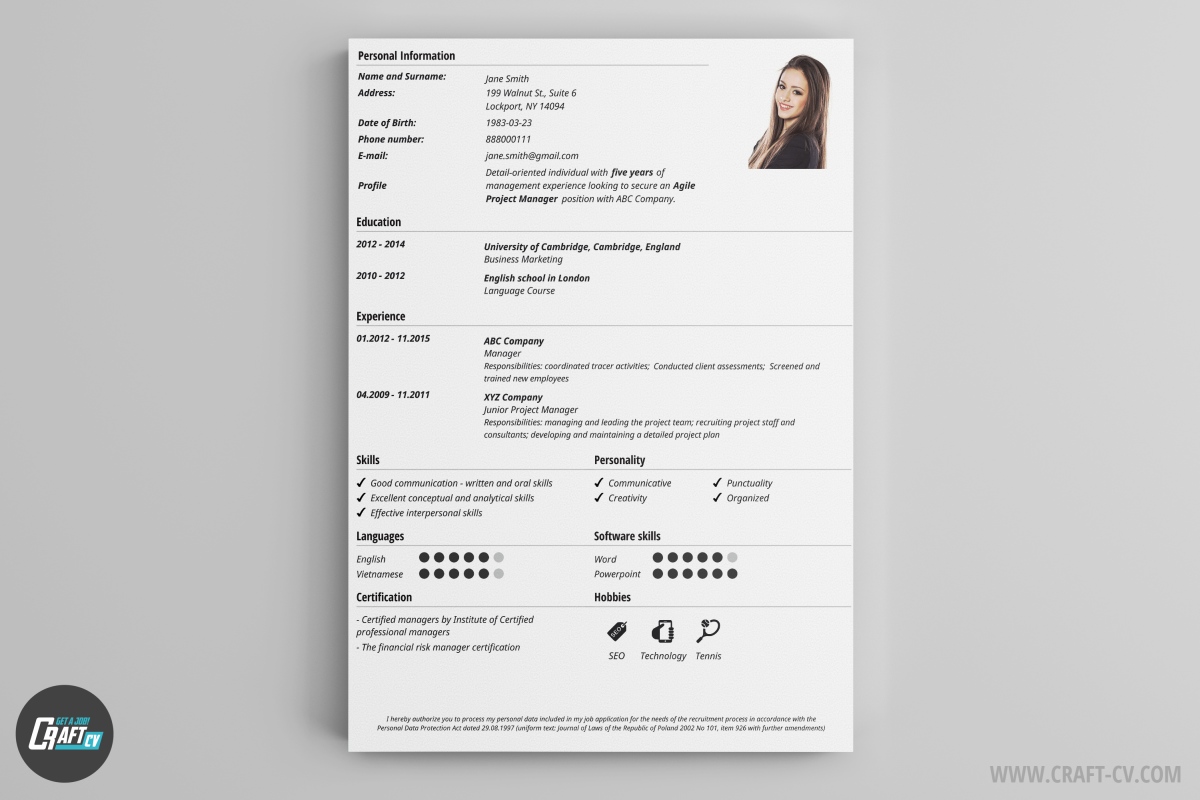 Free CV Examples