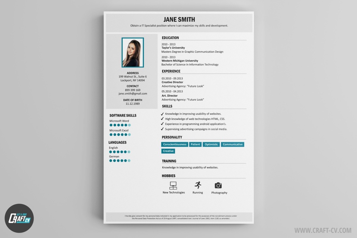 Professional CV Template