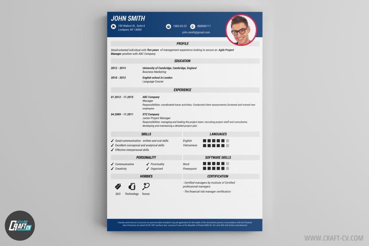 20 Elegant Best Curriculum Vitae Layout