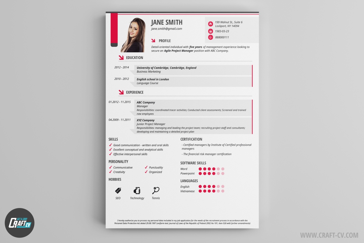 creative cv design iris