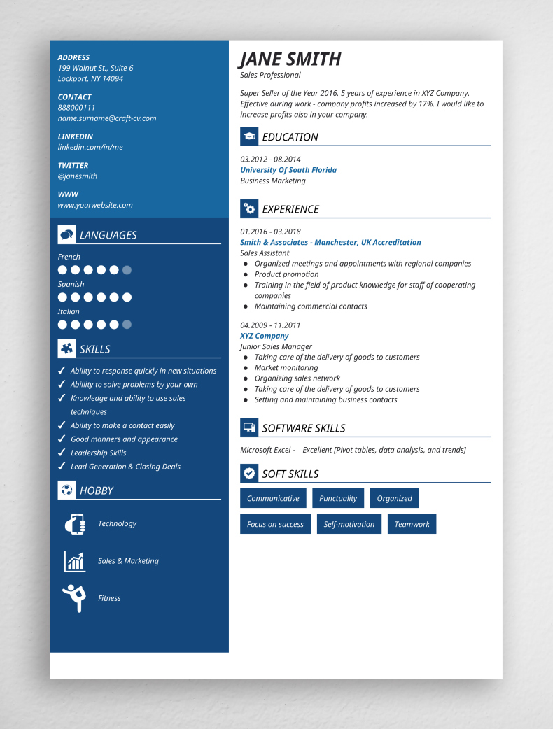 resume template 2017 sales professional doc