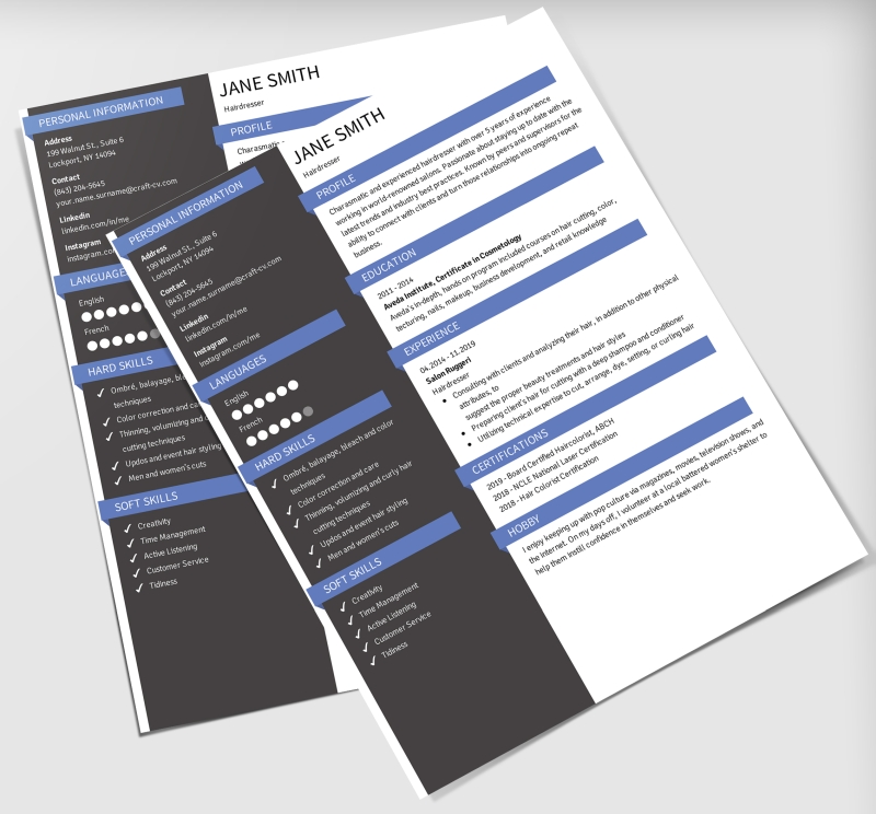 resume pdf craftcv