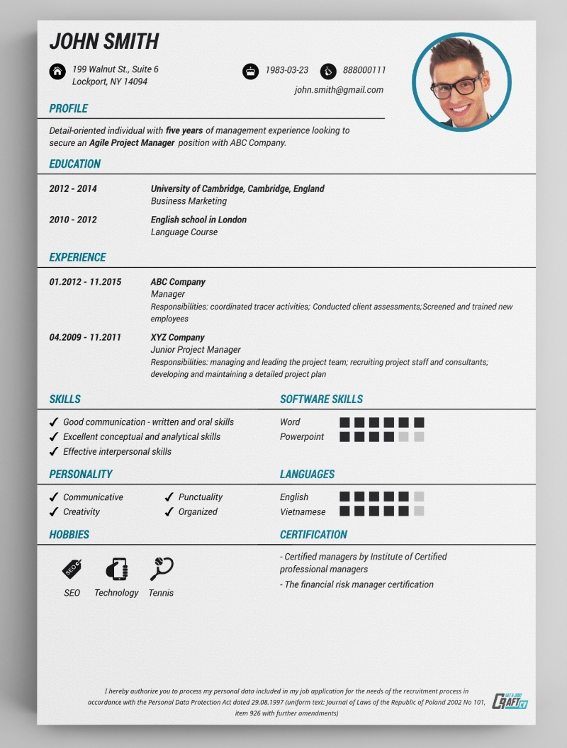 professional resume format pdf download