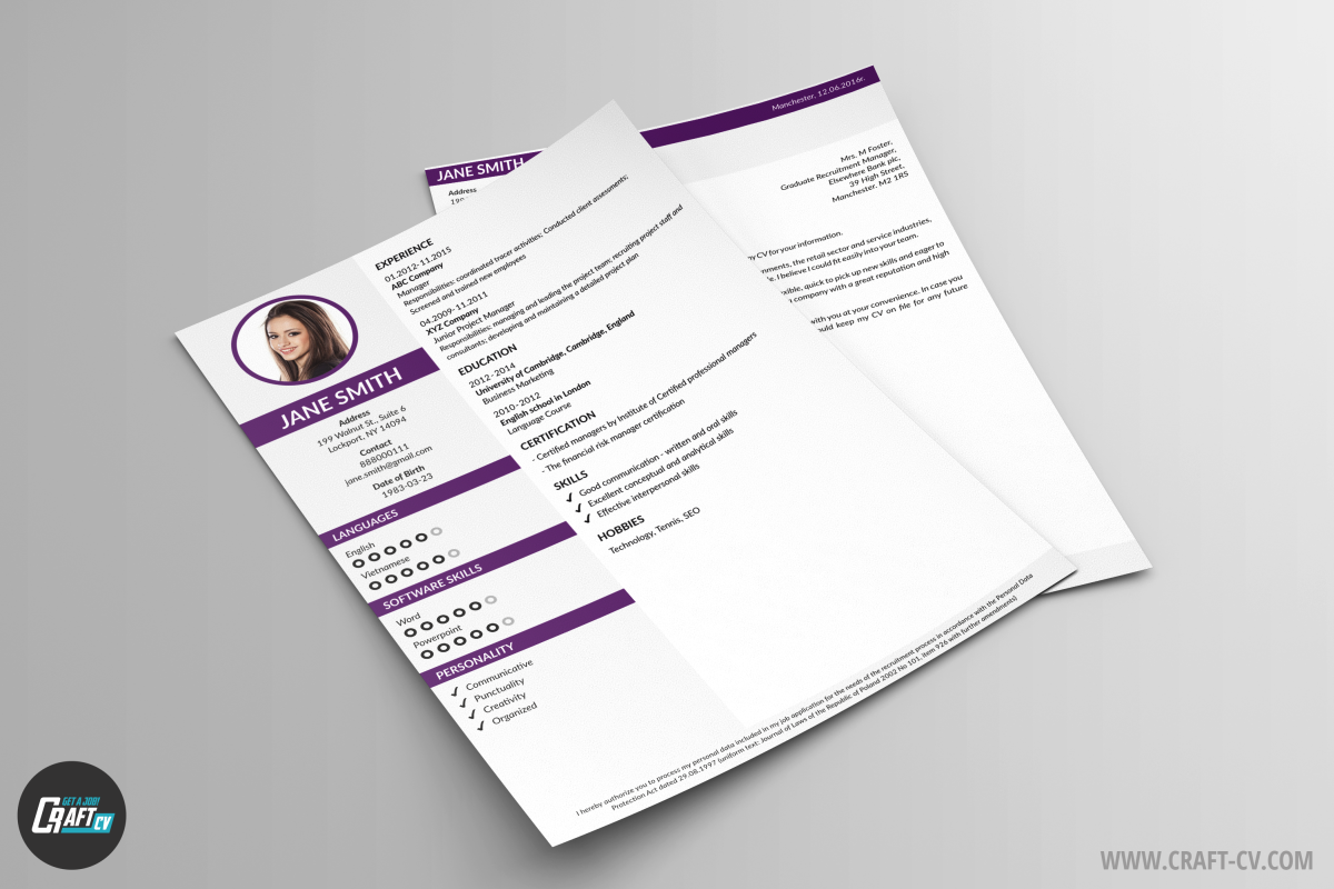 Professional CV