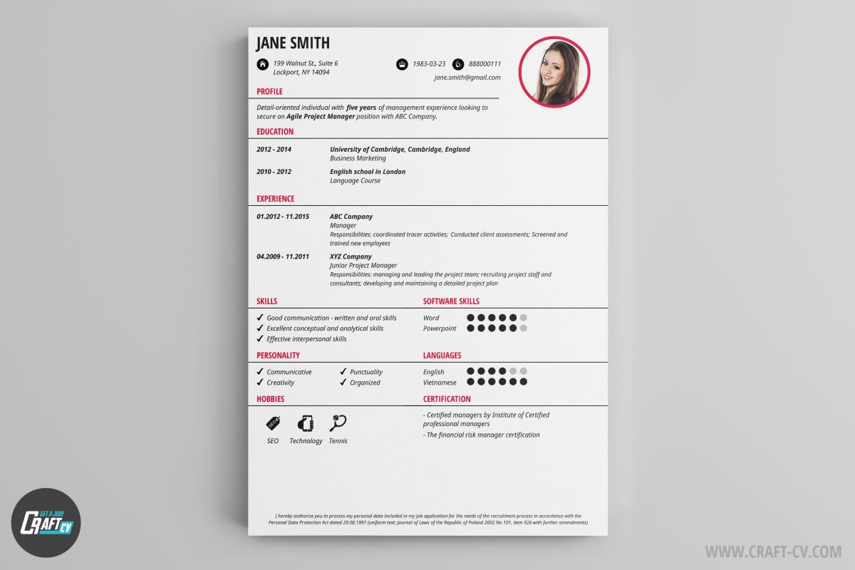 Cv Maker Professional Cv Examples Online Cv Builder Craftcv