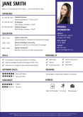 CV Sample Pandora