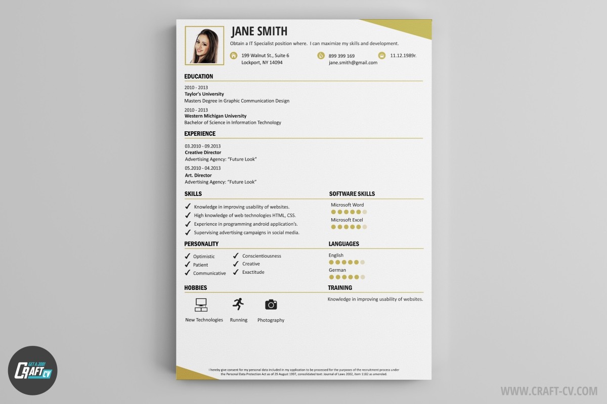 Free CV Example