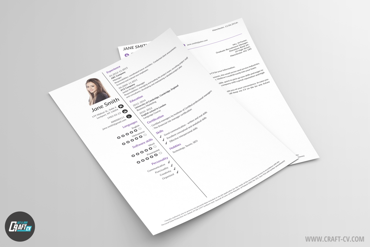 Professional CV Templates